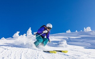 波鸿VS沃尔夫斯堡直播免费观看，波鸿比赛直播